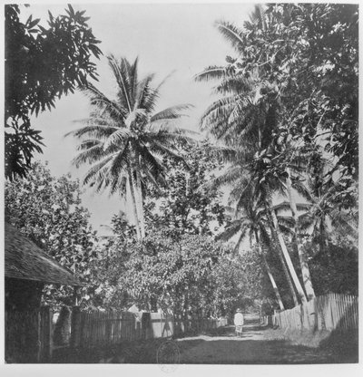 A Street in Papeete, from 
